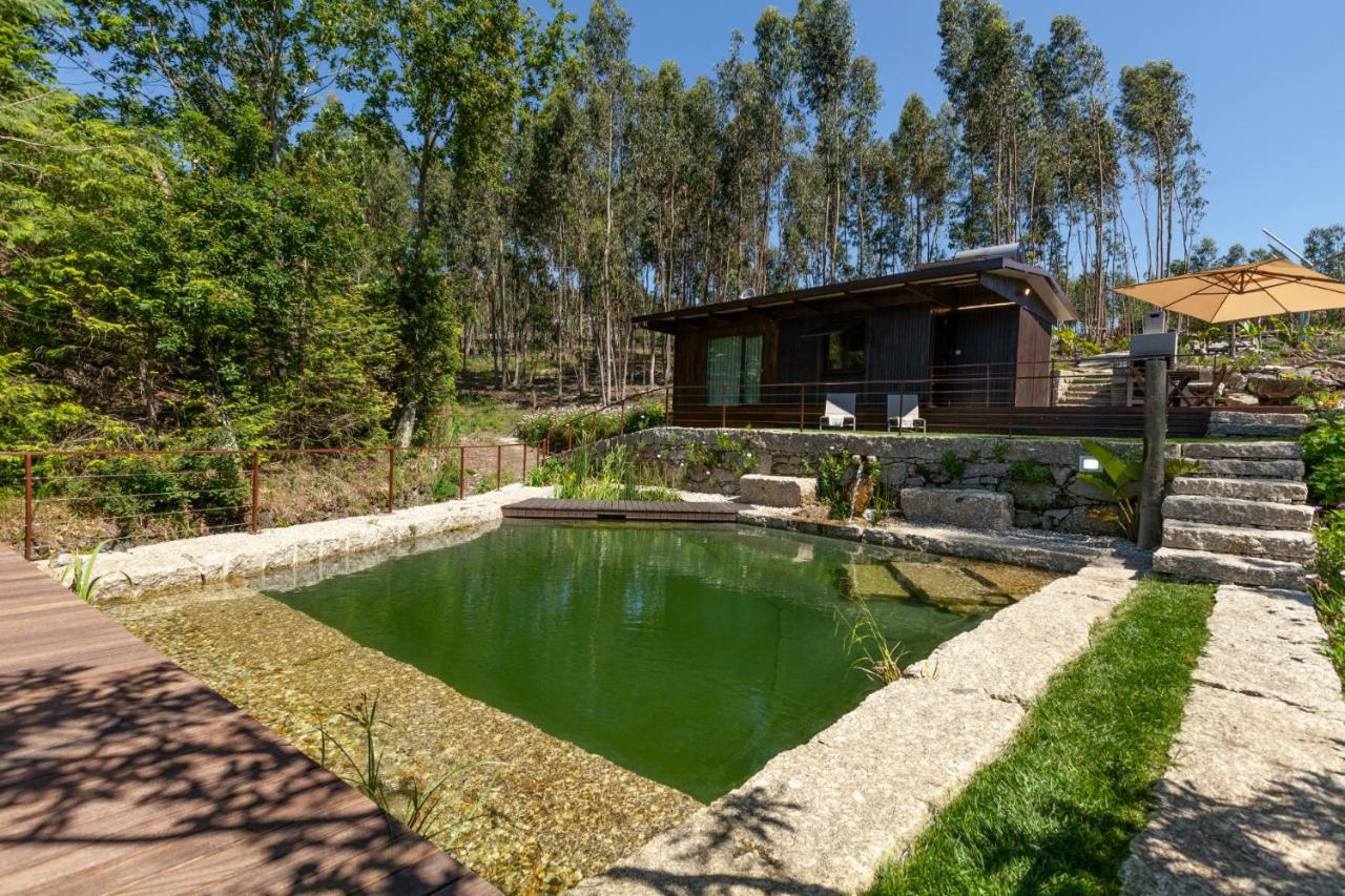 Casa Do Monte Da Veiga - Minho'S Guest Villa Póvoa de Lanhoso Dış mekan fotoğraf